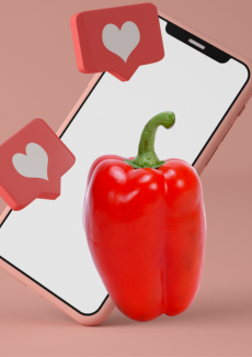 Η ΣΥΝΤΑΓΗ <br>ΤΗΣ ΕΠΙΤΥΧΙΑΣ